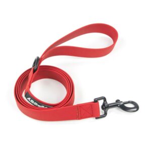Correa Explorer color Lava de Waggy Pets
